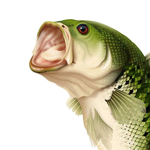 GOT Sports UPF 50+ Lightweight Fishing T Shirts for Men and Women - UV Sun Protection Long Sleeve — Largemouth Bass