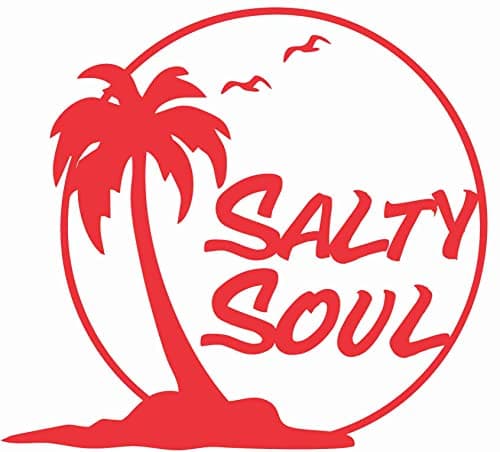 Salty Soul Palm Tree Sea Gulls Sun Ocean Beachy - Die Cut Vinyl Window Decal for Car/Truck (White)  
Salty Soul Palm Tre — Red