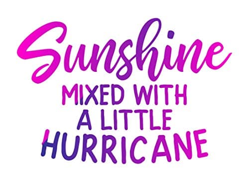 Sunshine Mixed with A Little Hurricane Vinyl Decal Sticker - Car Truck Van SUV Window - Best Selling MKS1387
Sunshine Mi