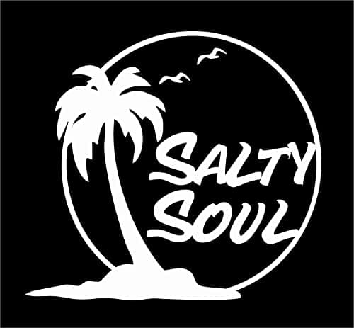 Salty Soul Palm Tree Sea Gulls Sun Ocean Beachy - Die Cut Vinyl Window Decal for Car/Truck (White)  
Salty Soul Palm Tre