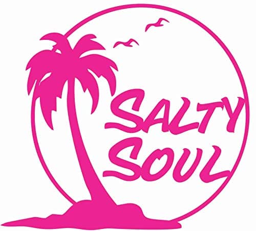 Salty Soul Palm Tree Sea Gulls Sun Ocean Beachy - Die Cut Vinyl Window Decal for Car/Truck (White)  
Salty Soul Palm Tre — Pink
