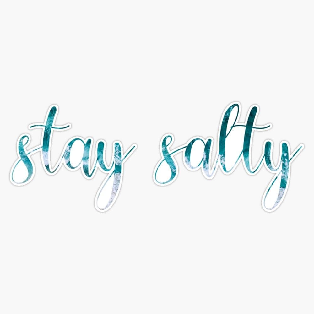 Stay Salty Ocean Vinyl Sticker Waterproof Decal for Laptop and Window Bumper 5"zenia