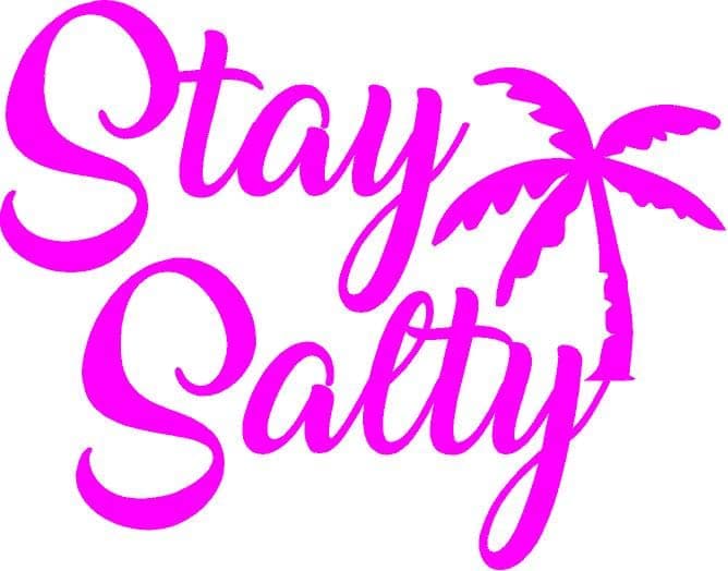 Stay Salty Vinyl Decal for Cars and Trucks: Beach Ocean Fun Windows Decal, Universal Fit for Cars, Trucks, and Laptops,