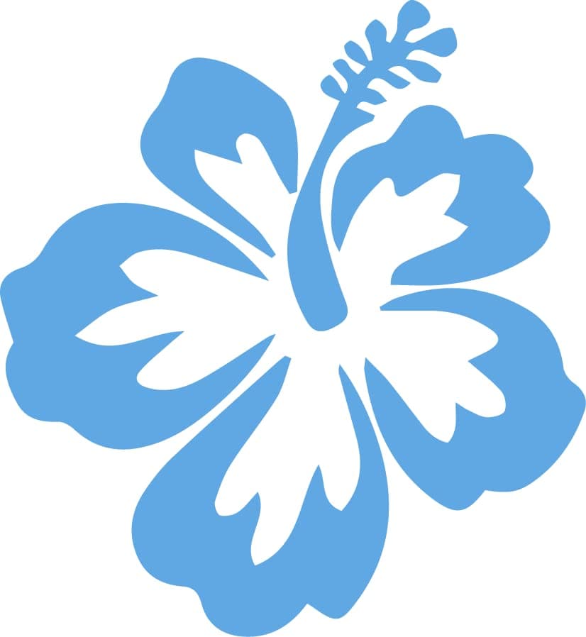 Hawaiian Hibiscus Flower Decal - Perfect for Car and Truck Outdoors - Durable Hawaii Bumper Stickers - 4-Inch by |25-Inc
