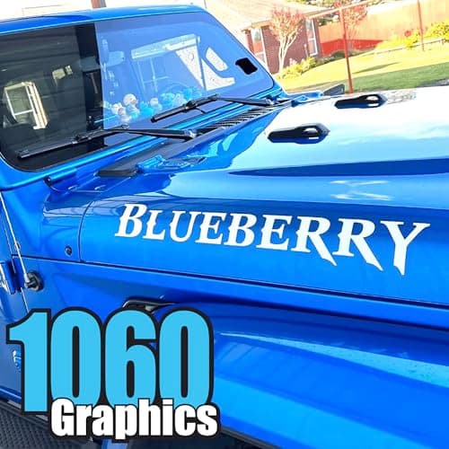Custom Vinyl Lettering (Any Color, Any Size) for Cars and Trucks
| Custom Vinyl Lettering (Any Color, Any Size) for Boa